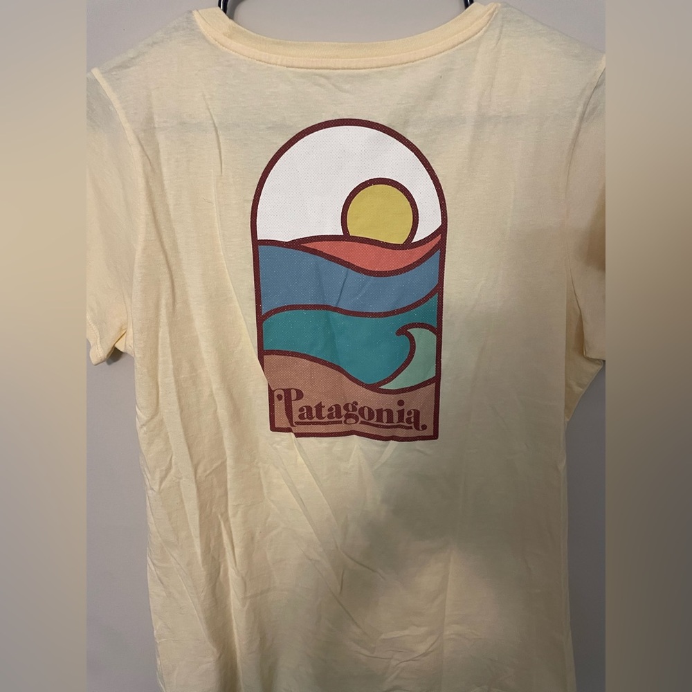 Patagonia slim fit graphic tee!